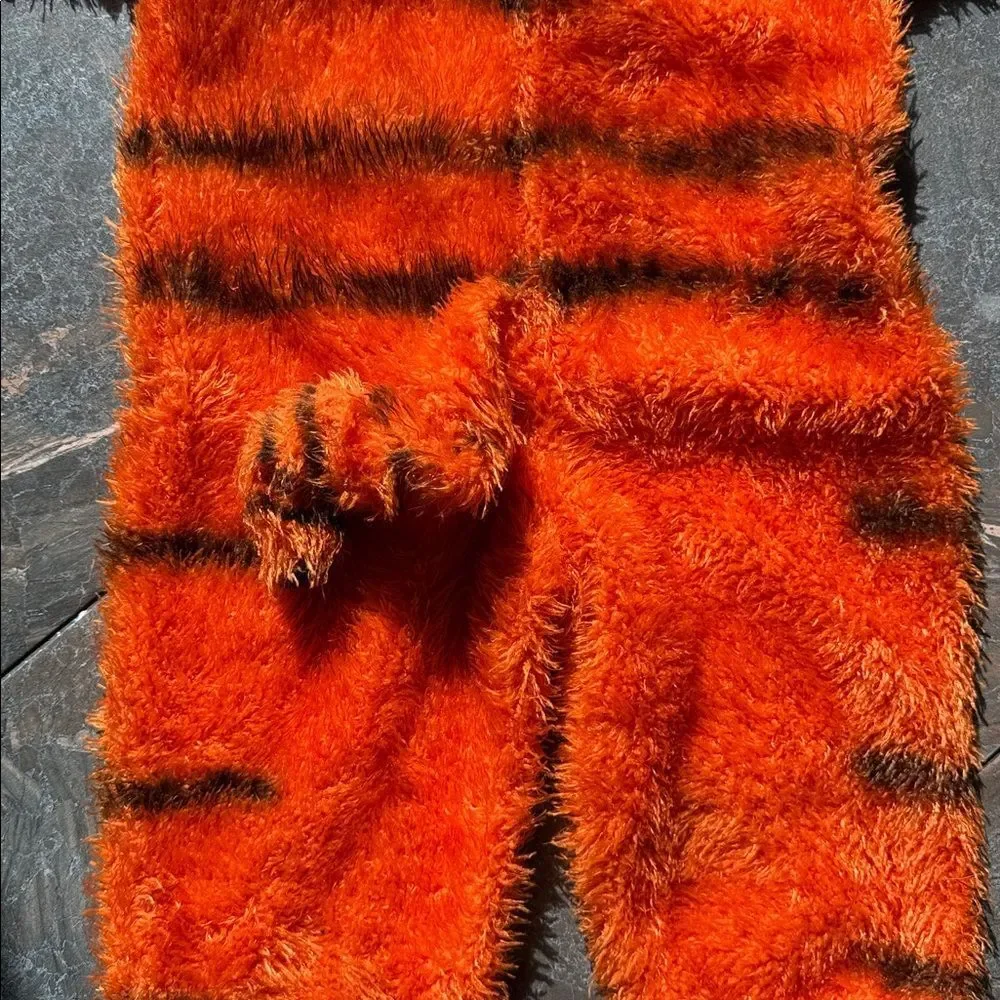 Disney Winnie the Pooh Tigger Costume Infant 24M One Piece Halloween Hooded